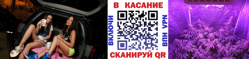 Псилоцибиновые грибы Энгельс