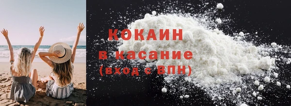 твердый Абаза