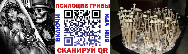 дарнет шоп  Энгельс  Галлюциногенные грибы MAGIC MUSHROOMS 
