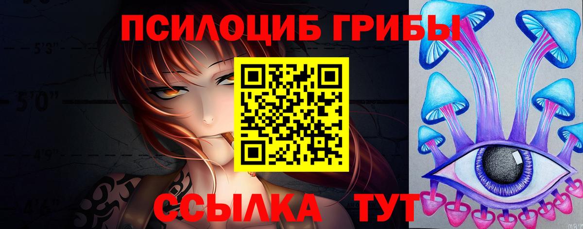 Энгельс  сколько стоит  Галлюциногенные грибы MAGIC MUSHROOMS  Вход с VPN  Псилоцибиновые грибы мицелий 